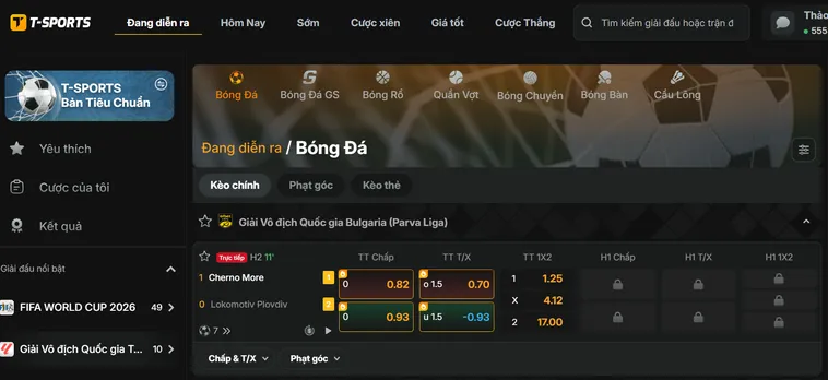 Trải Nghiệm Đỉnh Cao Thể Thao T Sports Tại Gem88 Với Tỷ Lệ Thắng Khủng
